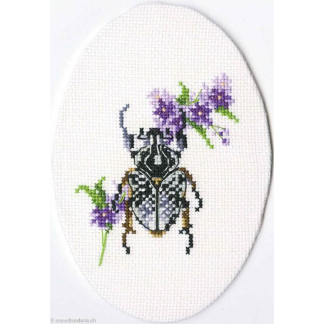 RTO, kit Bug on hair's ear (RTOEH367)