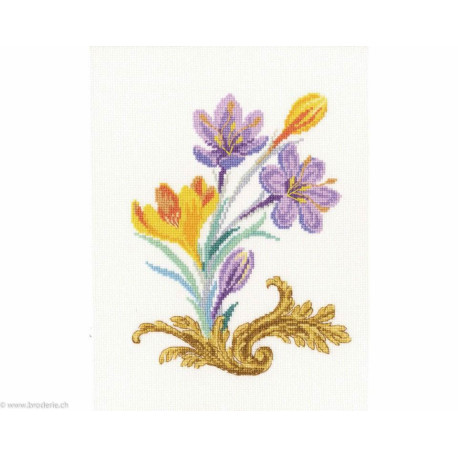 RTO, kit Crocus (RTOC257)