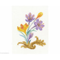 RTO, kit Crocus (RTOC257)