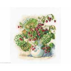 RTO, kit Hydrangea and Raspberry (RTOM600)