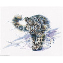 RTO, kit Snow Leopard (RTOM677)