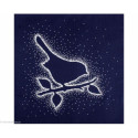 RTO, kit Snow silver bird (RTOCU014)