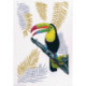 RTO, kit Toucan (RTOM746)