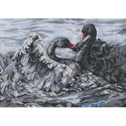RTO, kit Two Blacks Swans (RTOM557)