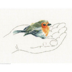 RTO, kit Warmth un palms - rouge-gorge (RTOM695)