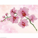 Diamond Dotz, kit diamant niveau 2 Orchid Spray (DD6034)