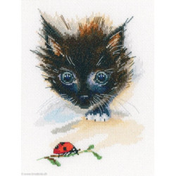 RTO, kit Cat and Ladybug (RTOM826)