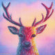 Bothy Threads, kit The Menagerie - Poise (BOXRF15)
