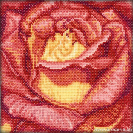 RTO, kit coeur de rose rouge jaune (RTOC069)