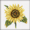 RTO, petit kit tournesol (RTOH170)