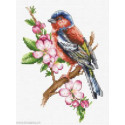 Luca-S, kit Chaffinch Bird (LUCASB1196)