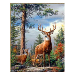 Artibalta, kit diamant Deer on the Sloap (AM-4008)