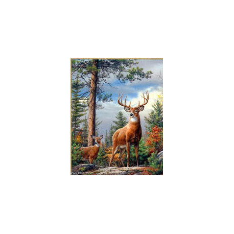 Artibalta, kit diamant Deer on the Sloap (AM-4008)