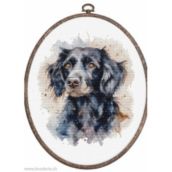 Luca-S, kit The Border Collie (LUCASBC213)
