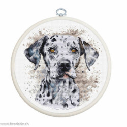 Luca-S, kit The Dalmatian (LUCASBC208)
