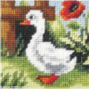 Orchidea, kit enfant Oie (OR9602)