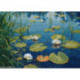 Oven, kit Clean Ponds (OV1610)