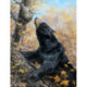 Collection d'Art, kit diamant Forest sweet-tooth (CADE7149)