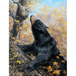 Collection d'Art, kit diamant Forest sweet-tooth (CADE7149)