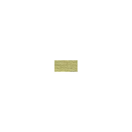 DMC mouliné N° 3013 (DMC3013)