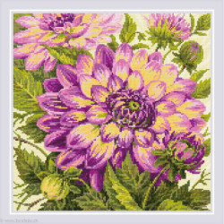 Riolis, kit diamant Dahlias (RIAM0072)