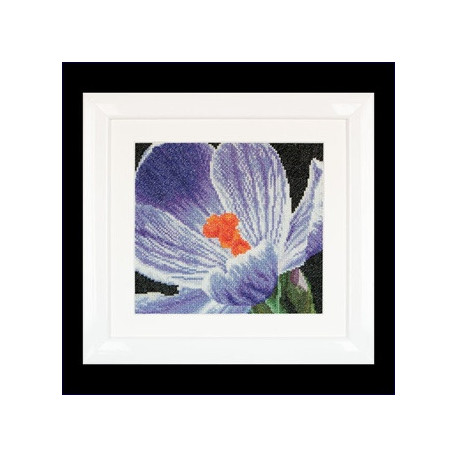 Thea Gouverneur, kit Crocus (G0487)