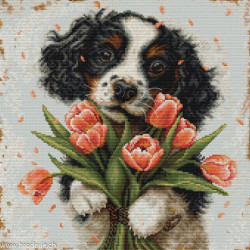 Luca-S, kit The Cocker Spaniel Puppy (LUCASBU5067)