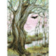 Riolis, kit Awakening (RI2225)