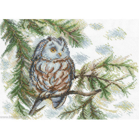 Andriana, kit Little Owl (SANS-73)