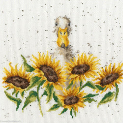 Bothy Threads, kit Sunshine (BOXHD44)