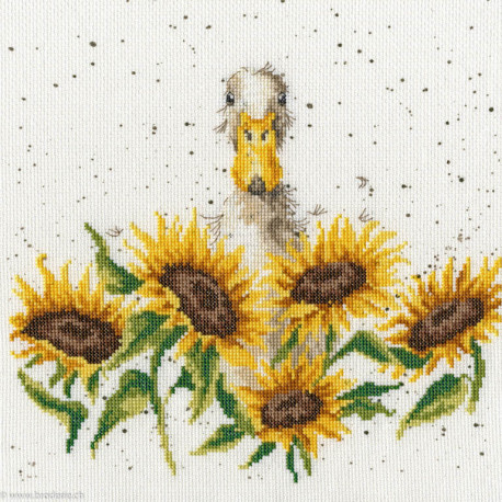 Bothy Threads, kit Sunshine (BOXHD44)