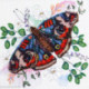 Abris Art, kit perles Color harmony (AAMB-103)
