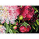 BrilliArt, kit diamant (MC-144)