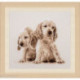 Vervaco, kit 2 chiots (PN0205414)