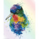 Diamond Dotz, kit diamant niveau 2 Rainbow Feathers (DD5056)