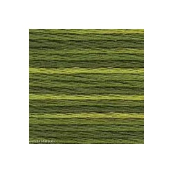 DMC Variation, échevette numéro 4066 (VAR4066)