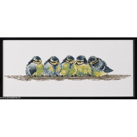 Permin, Kit Blue tit (PE92-4478)