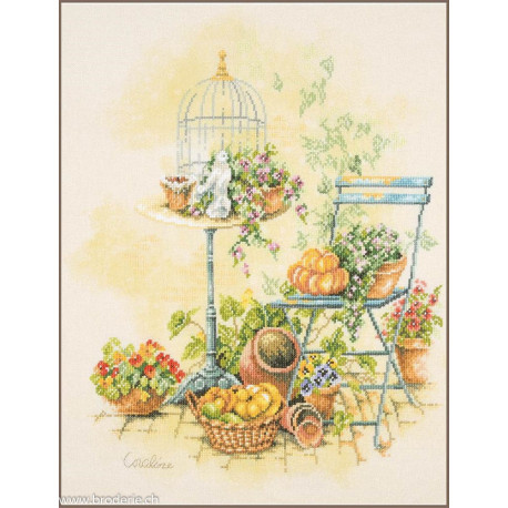 Lanarte, kit Free from the birdcage (LA0216152)