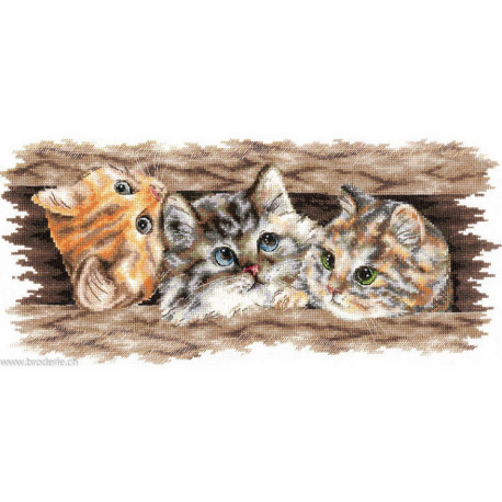 Andriana, kit Fluffy trio (SANP-69)