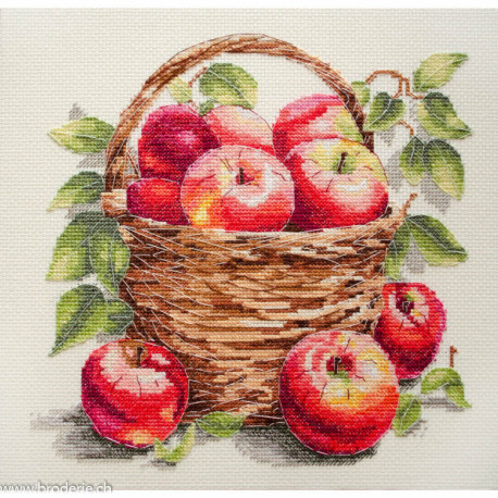 Abris Art, kit Bulk apples (AAH-250)