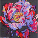 Abris Art, kit perles Time to bloom (AAMB-104)