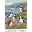 Bothy Threads, kit A Circus Of Puffins (BOXDD9)