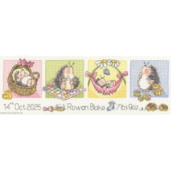 Bothy Threads, kit naissance Little Hoglet (BOXMS44)