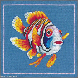 Lanarte, kit Poisson Némo joyeux (LA0215380)