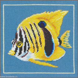 Lanarte, kit Poisson Zébre jaune (LA0215385)