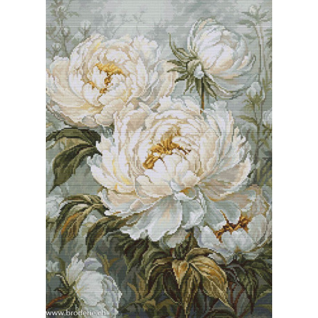 Luca-S, kit canevas petits points The Light of Spring Peonies (LUCASG715)