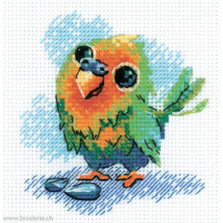 Riolis, kit Little Parrot (RI2284)