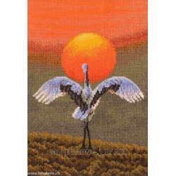 RTO, kit "Dance" (RTOM1053)