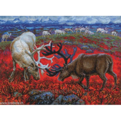 RTO, kit Law of the tundra (RTOM1014)