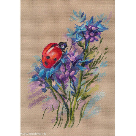 Oven, kit Ladybug (OV1681)